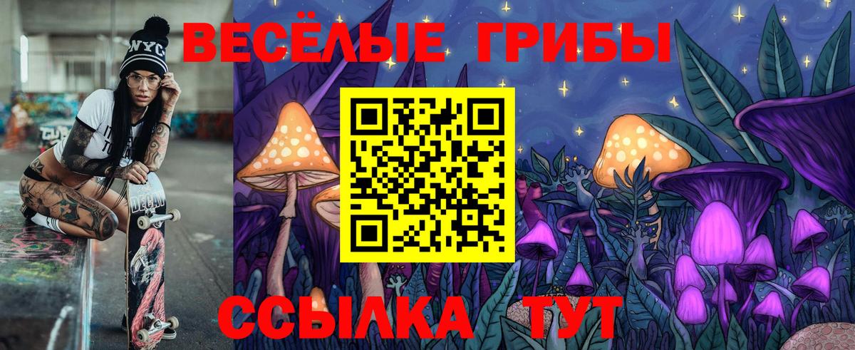 Галлюциногенные грибы MAGIC MUSHROOMS  Галлюциногенные грибы Psilocybine cubensis  Курчатов  Вход с VPN 