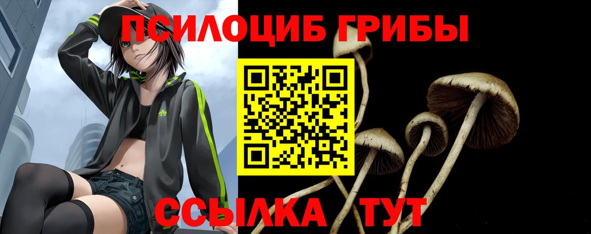 Псилоцибиновые грибы Psilocybine cubensis Курчатов